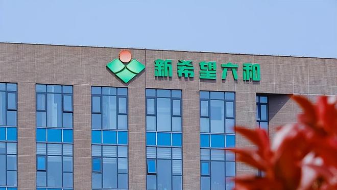 这5大方向连跌1年业绩有望大增迎来炒作j9九游会网址是什么每年1月必炒业绩报(图25)